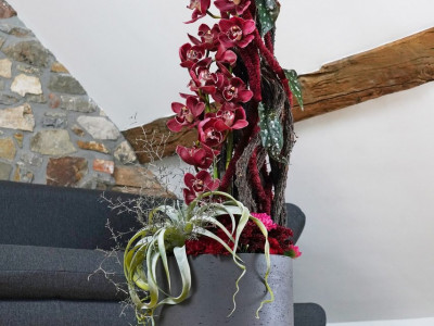 Pour les entreprises - photo 24